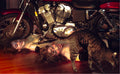 Motorcycle Psychosis - Fine Art Print